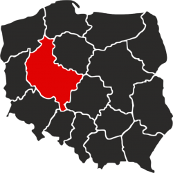WIELKOPOLSKIE